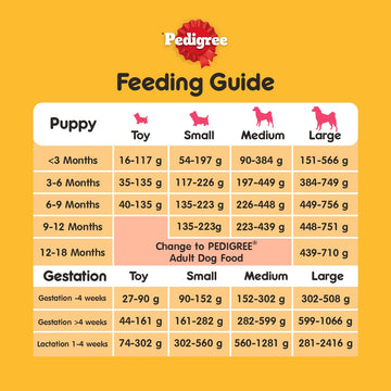 PEDIGREE® Dry Puppy - Beef & Milk